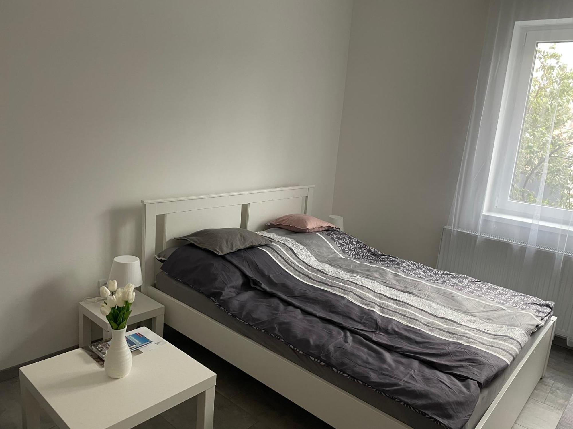 Kiss Vendeghaz 2-3 Apartment Kaposvar